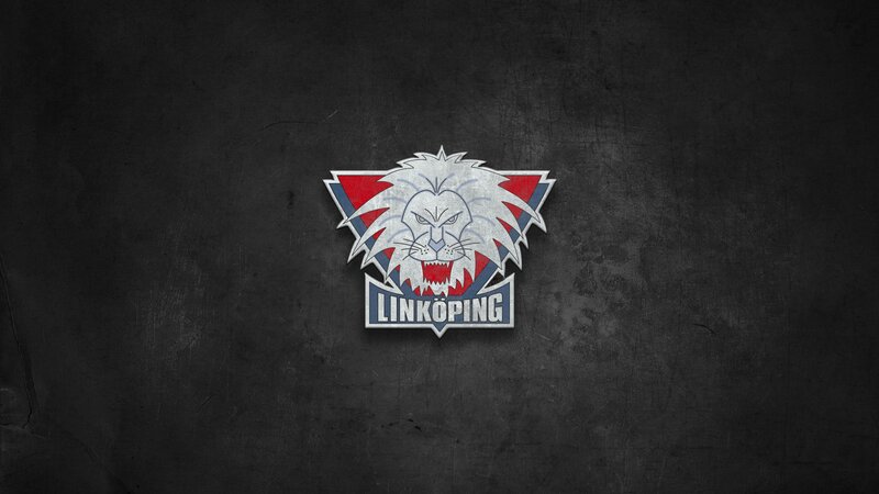 Lion Head Logo — Black, Aggressive