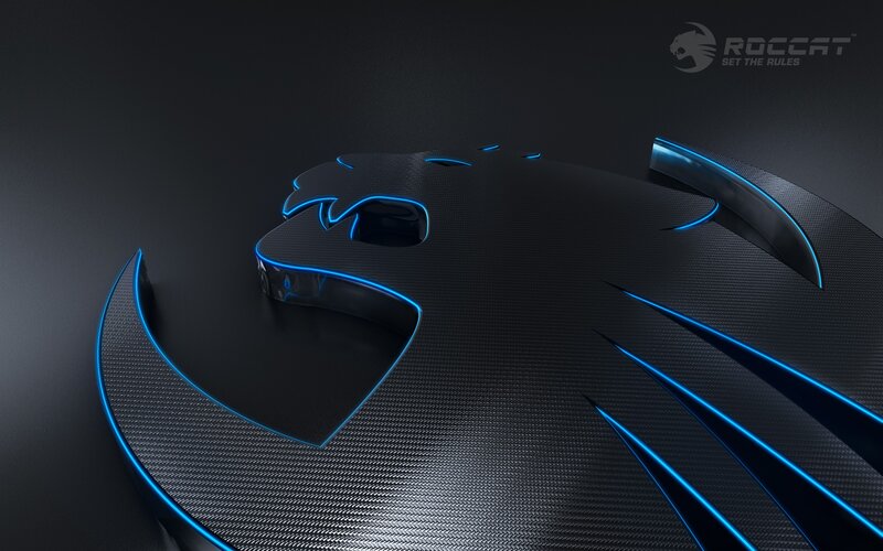 Lion Head Logo — Black