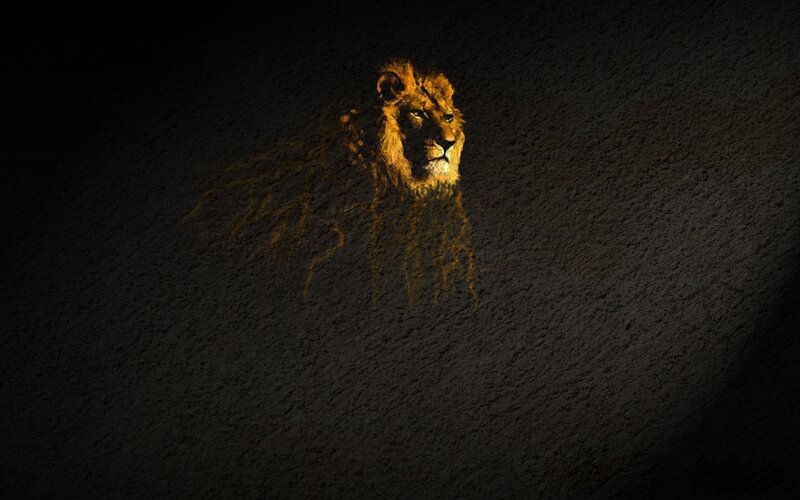 lion head on dark wall