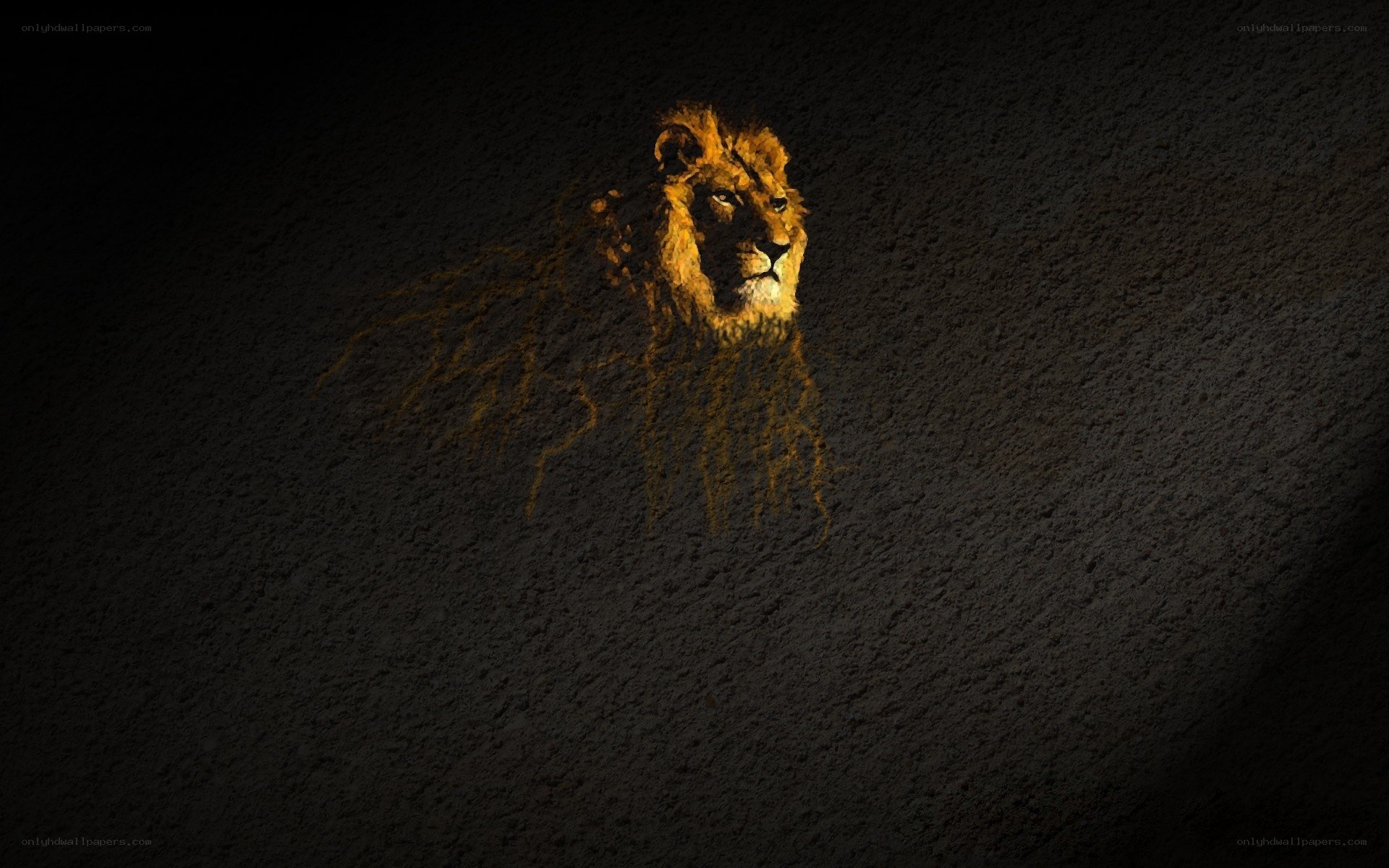 lion head on dark wall