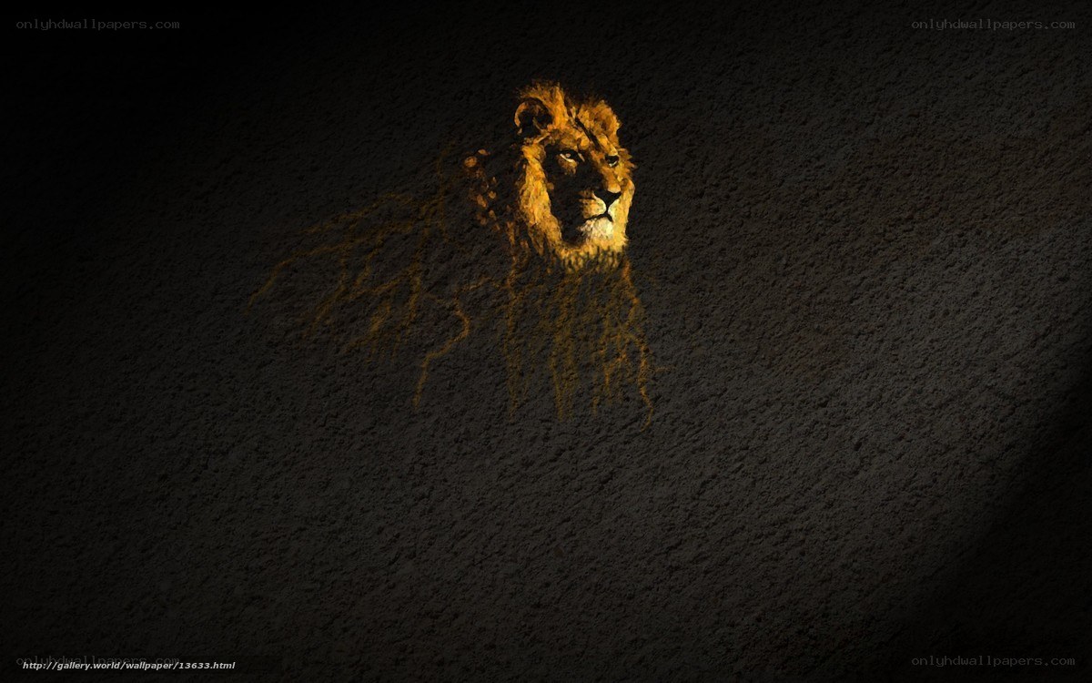 lion head on dark wall