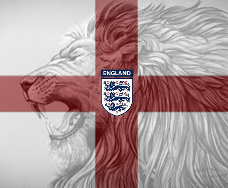 Lion Head on Flag