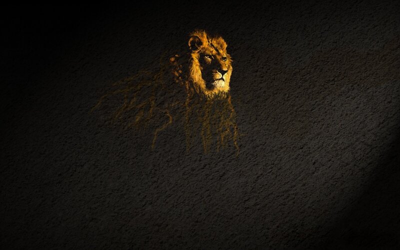 Lion Head on Wall