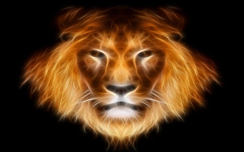 Lion Head — Orange, Dramatic, Digital Art, Fire, Black Background, Yellow