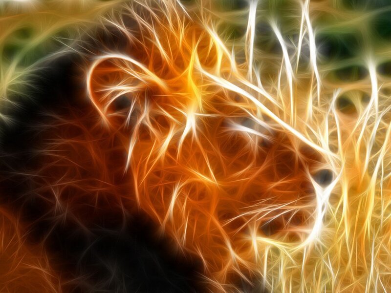 Lion Head — Orange, Dramatic, Digital Art, Fire, Flame, Yellow