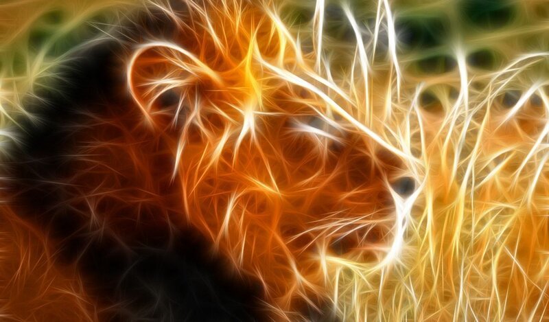 Lion Head — Orange, Dramatic, Digital Art, Fire, Lightning, Yellow, Black