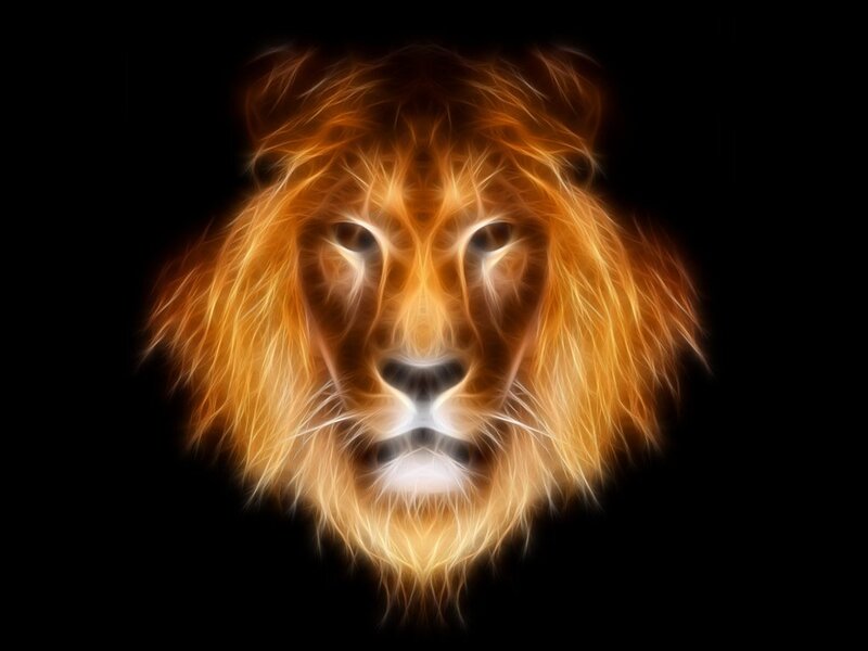 Lion Head — Orange, Dramatic, Digital Art, Fire