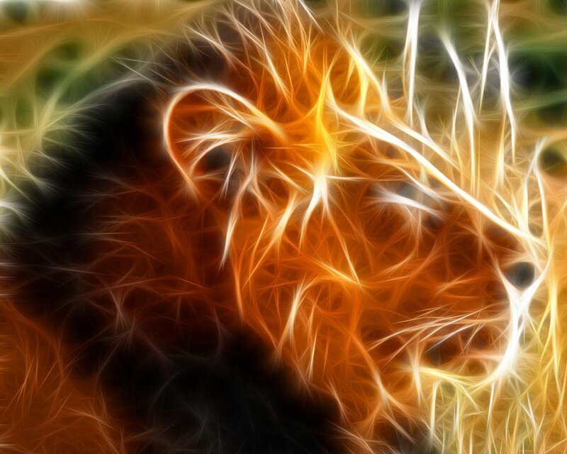 Lion Head — Orange, Dramatic, Digital Art, Flame