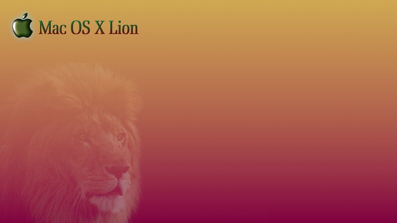 Lion Head — Orange