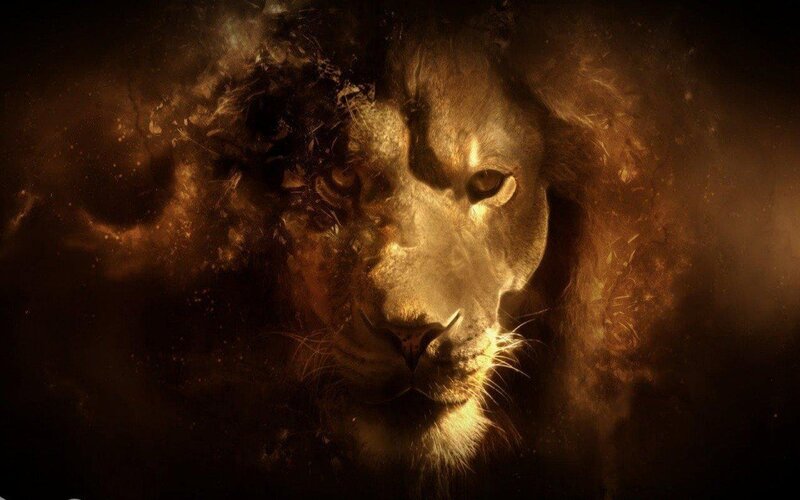 Lion Head Portrait — Brown