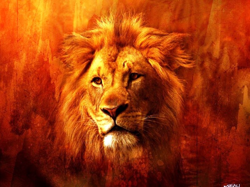 Lion Head Portrait — Orange, Dramatic, Digital Art