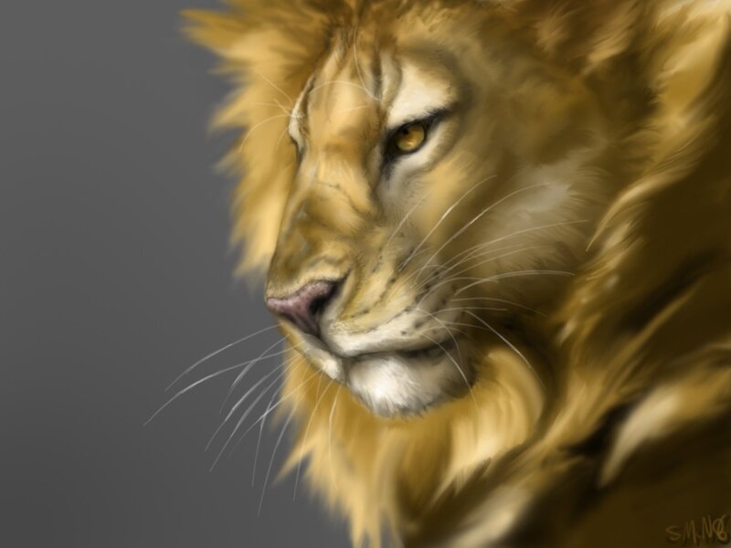 lion head portrait