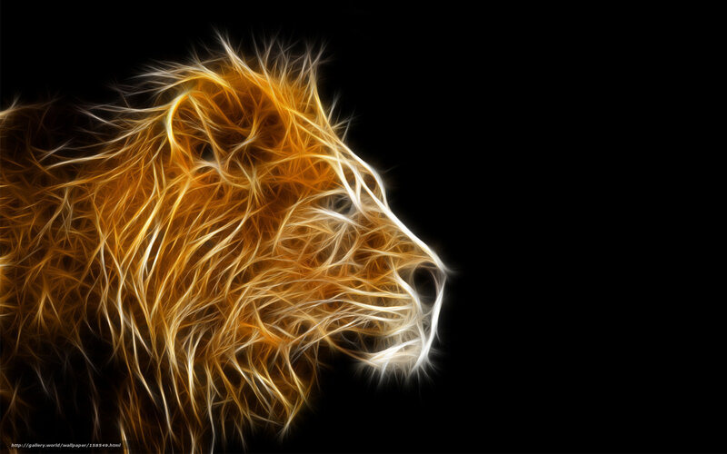 Lion Head Profile — Black, Dramatic, Digital Art, Black Background