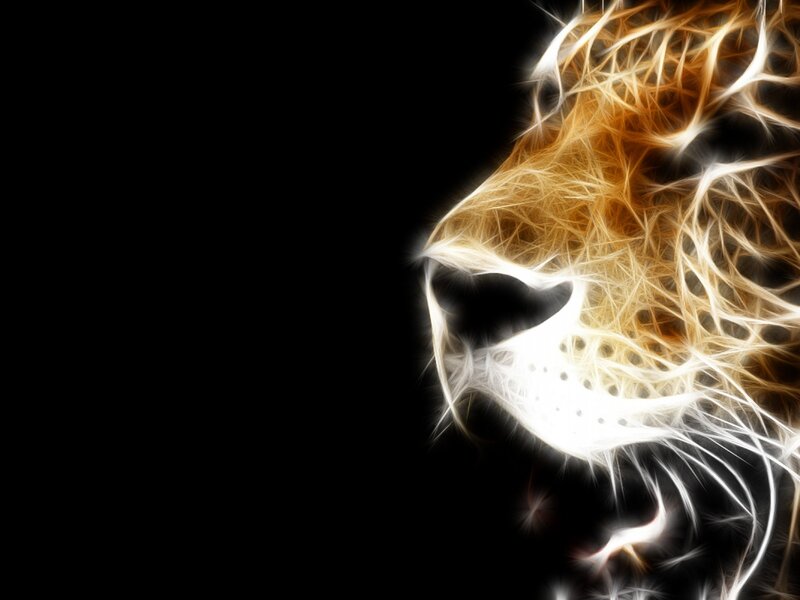 Lion Head Profile — Black, Dramatic