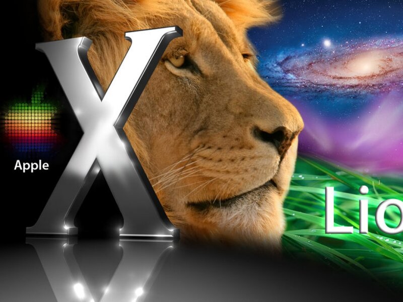 Lion Head Profile — Brown