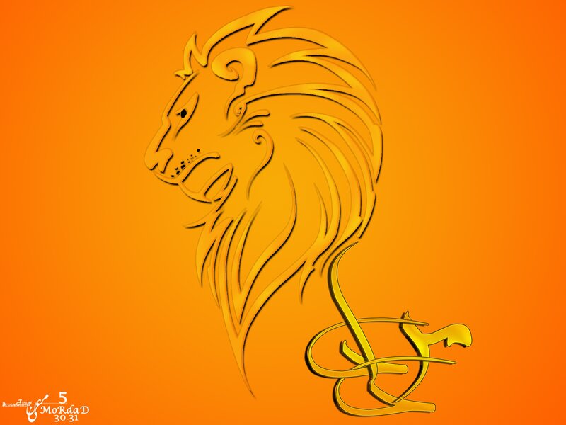 Lion Head Profile — Orange, Bold