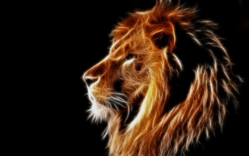Lion Head Profile — Orange