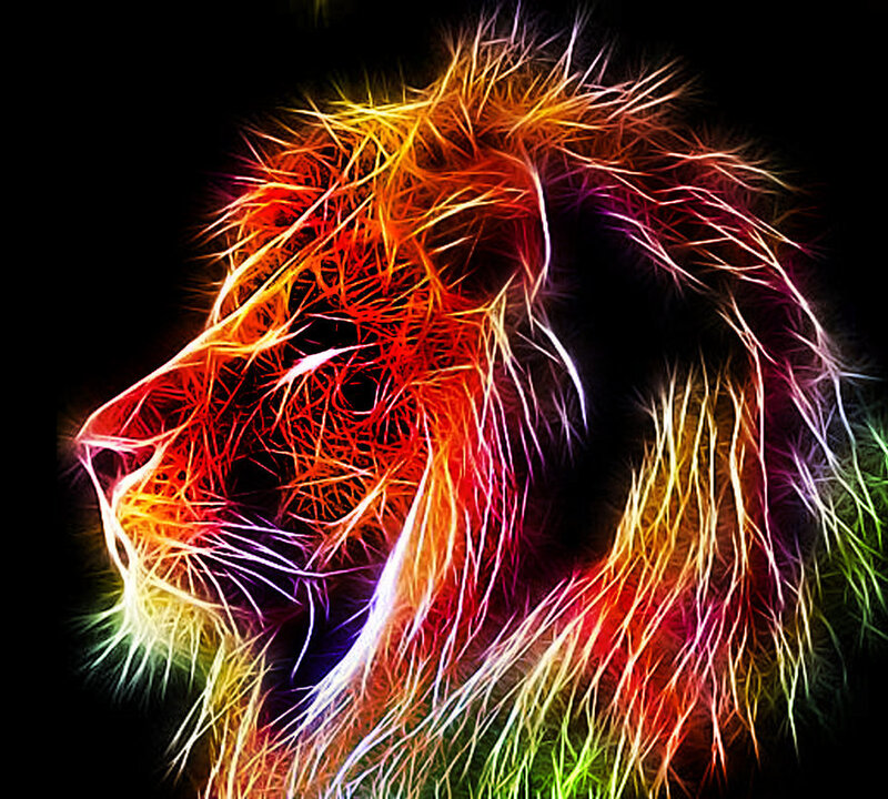 Lion Head Profile