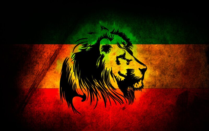 Lion Head Silhouette — Red, Dramatic