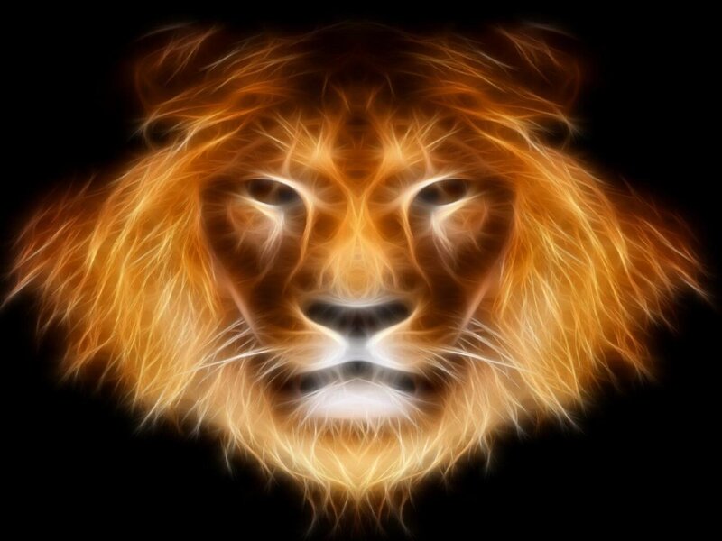 Lion Head