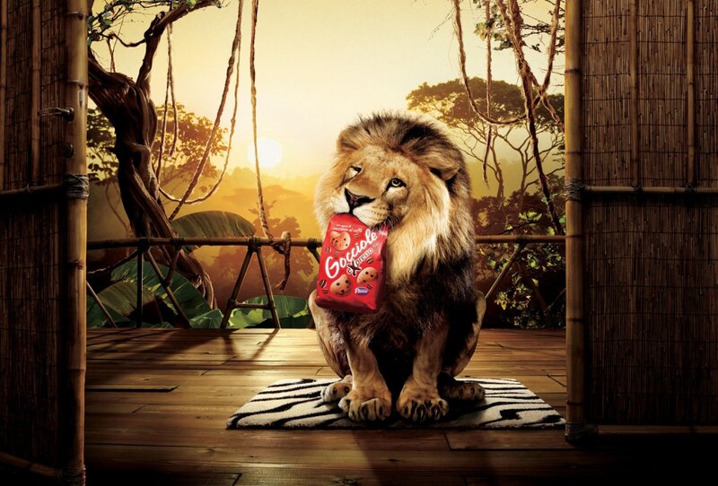 Lion Holding Snack Bag