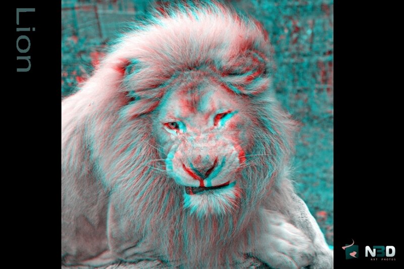 Lion in 3D effect