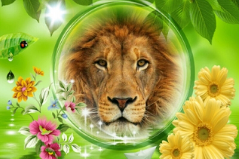 Lion in a Bubble — Green