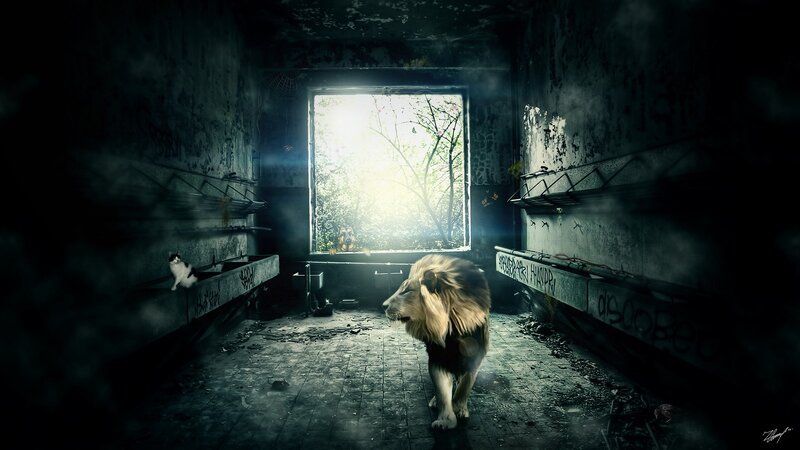 Lion in an abandoned building