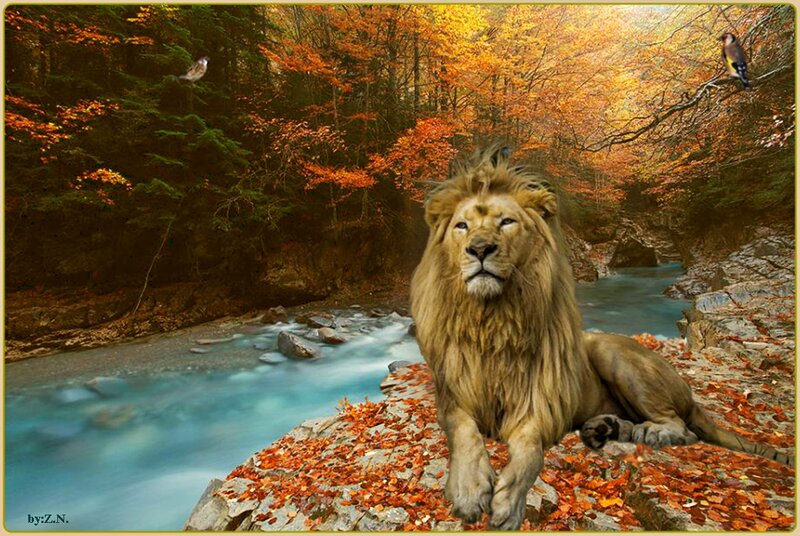 Lion in Autumn Forest — Orange