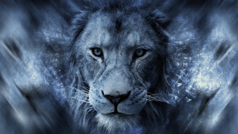 Lion in Blue Tones