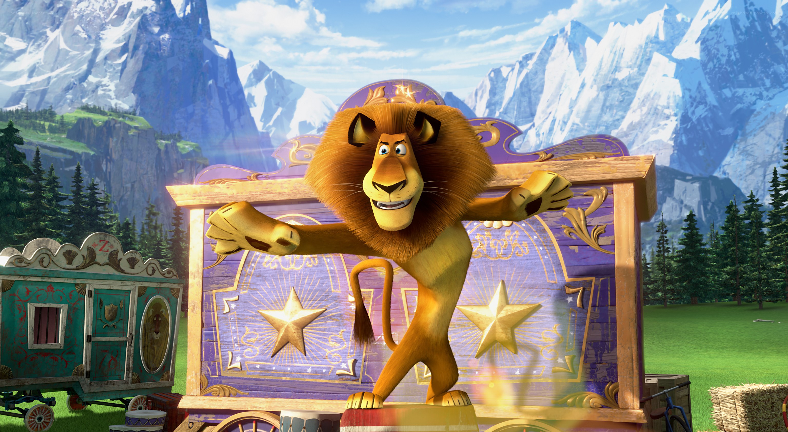 Lion in circus performance