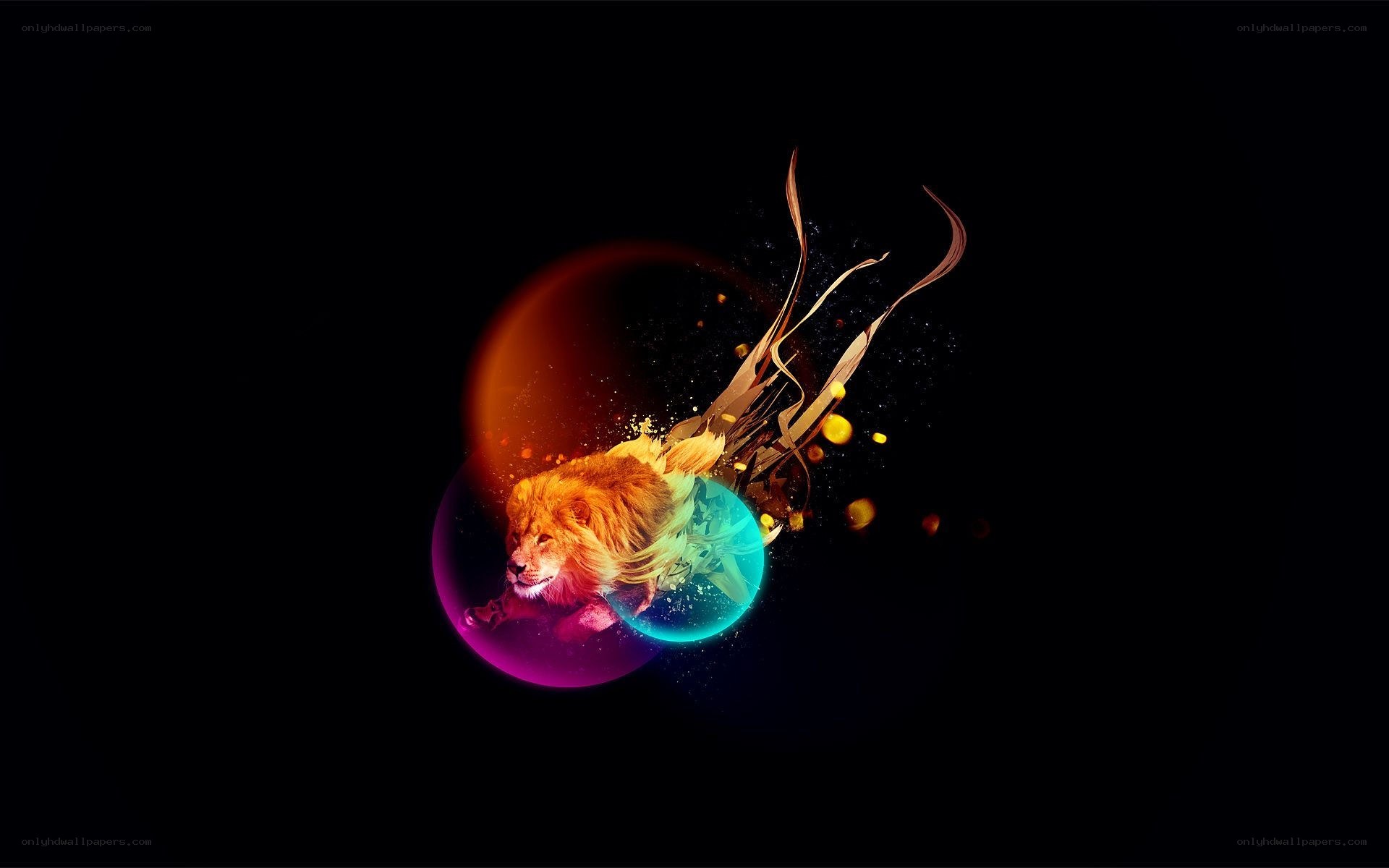 lion in colorful sphere