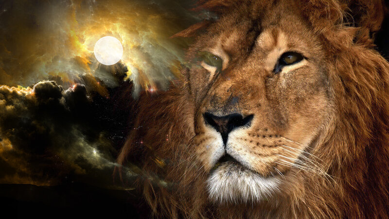 Lion in cosmic landscape