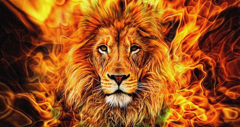 Lion in Flames — Orange