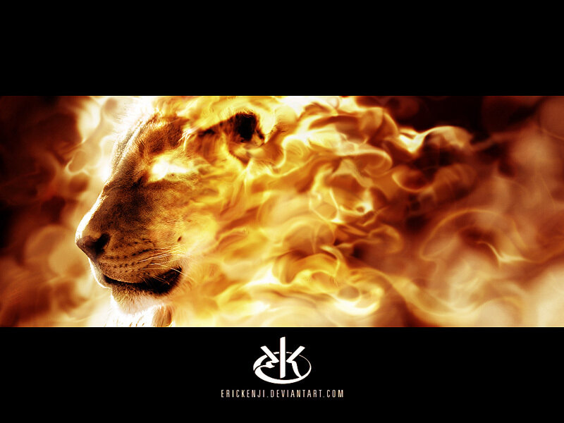 lion in flames