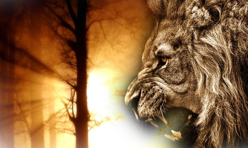 Lion in Forest — Brown