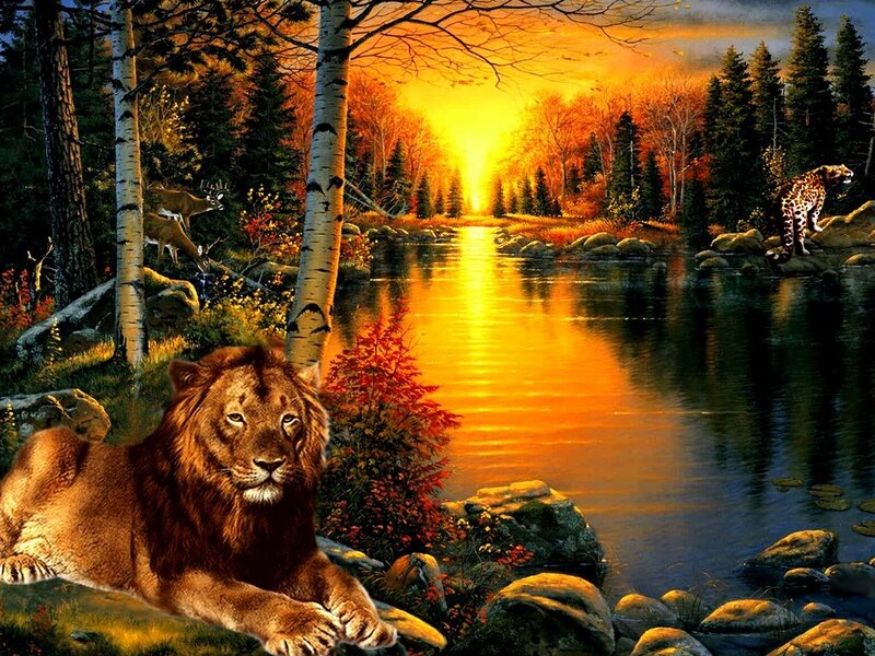 Lion in Forest — Orange