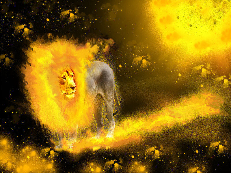 lion in golden fire