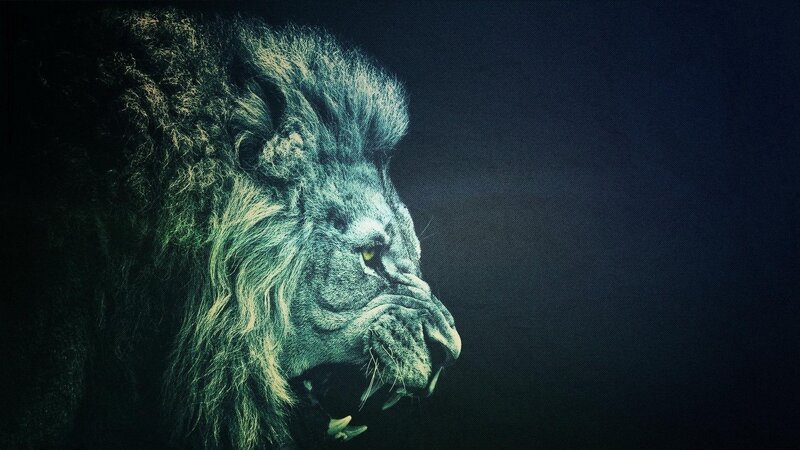 Lion in Profile — Black, Dramatic, Digital Art, Mane