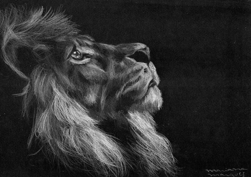 Lion in Profile — Black, Dramatic, Illustration