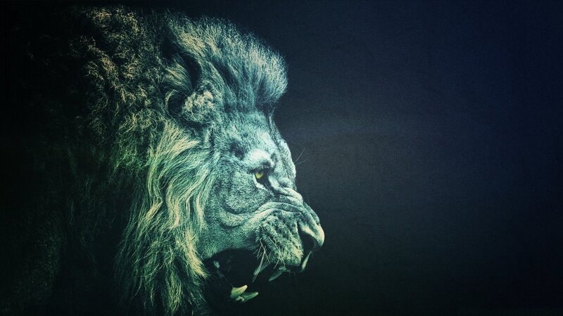 Lion in Profile — Black, Dramatic, Night