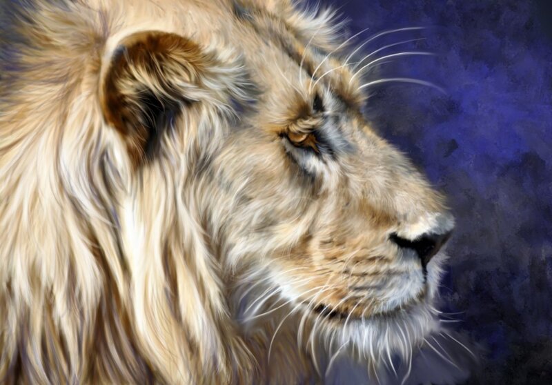Lion in Profile — Blue