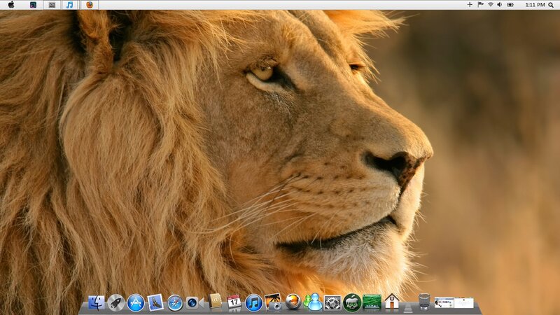 Lion in Profile — Brown, Calm, Afternoon