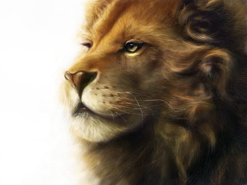 Lion in Profile — Brown, Calm, Digital Art