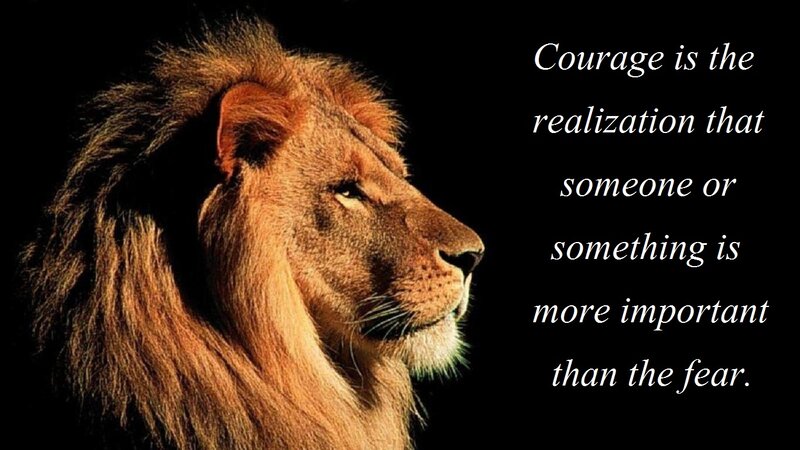 Lion in Profile — Brown, Dramatic, Photograph, Text