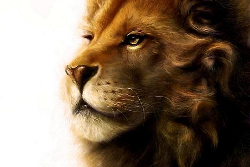 Lion in Profile — Brown, Dramatic