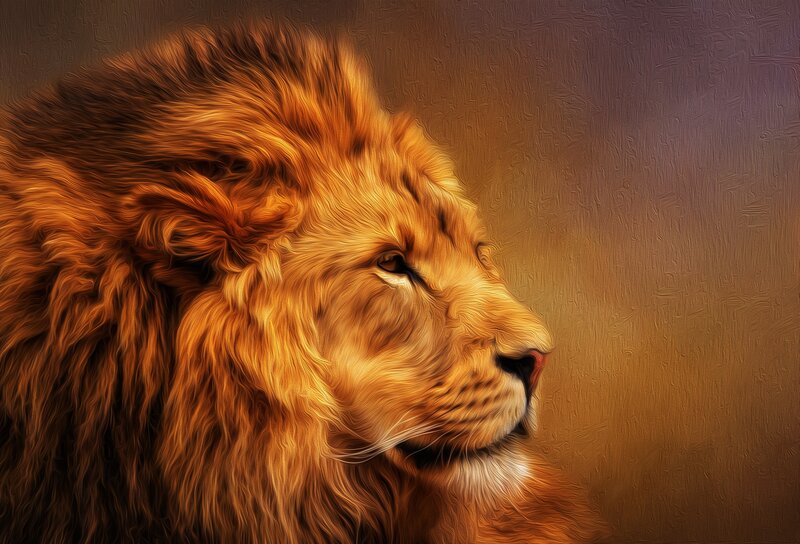 Lion in Profile — Gold, Dramatic, Digital Art