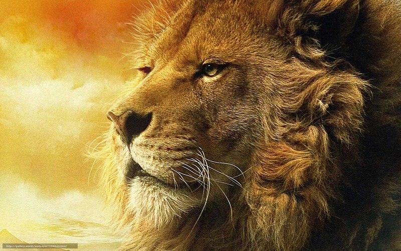 Lion in Profile — Gold, Dramatic