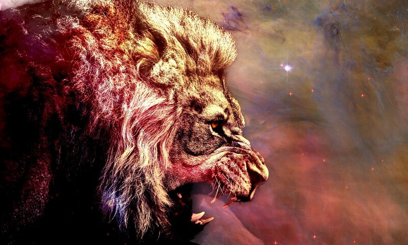 Lion in Profile — Red, Dramatic