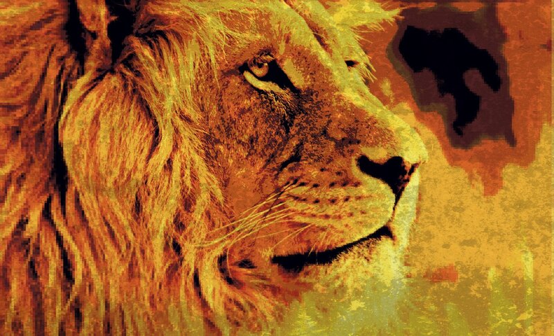 Lion in Profile — Yellow, Dramatic